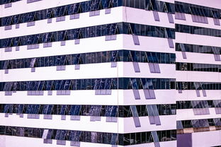 九游手游官网-体育赛事风险管控体系建设，体育赛事风险防范