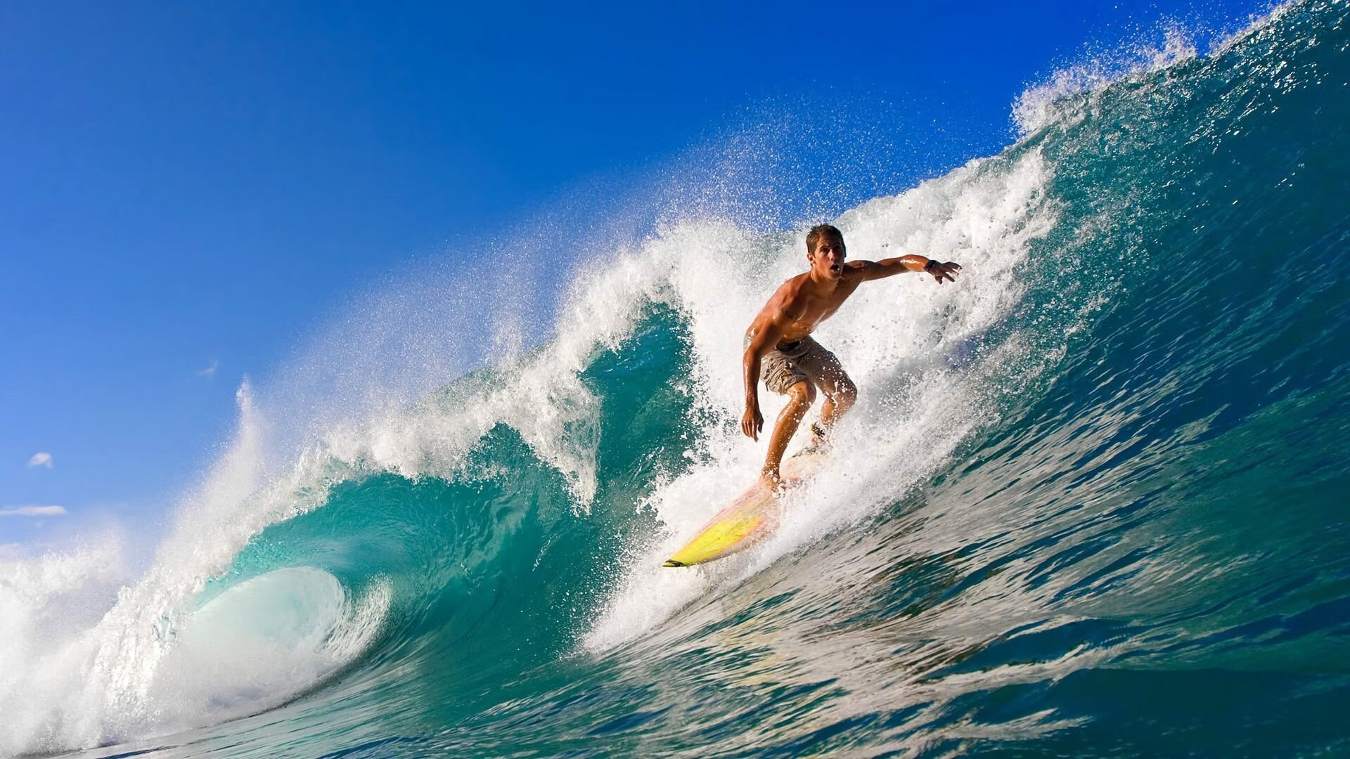 战术大师：本赛季最具创新的战术部署分析，战术大师是谁